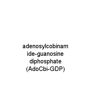 adenosylcobinamide-guanosine diphosphate (AdoCbi-GDP)